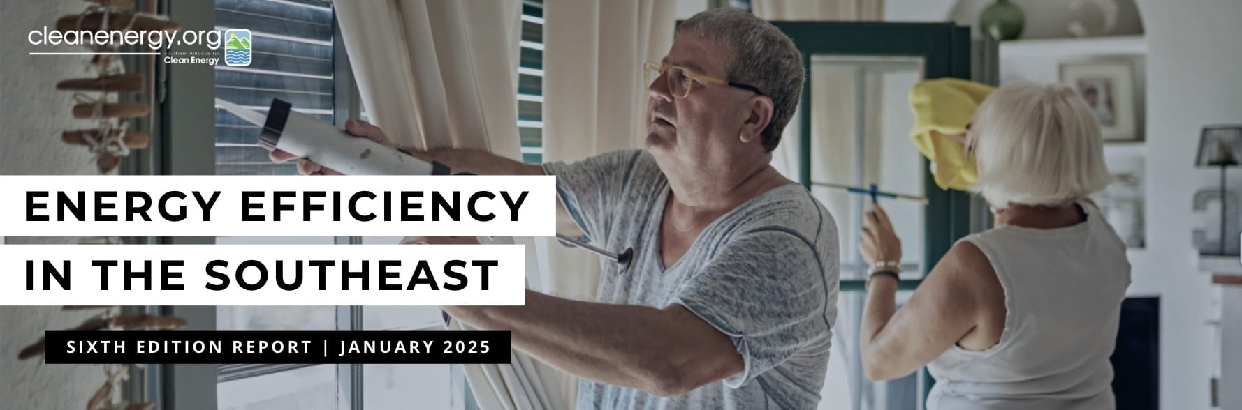 Energy Efficiency in the Southeast: Sixth Edition Report - Southern ...