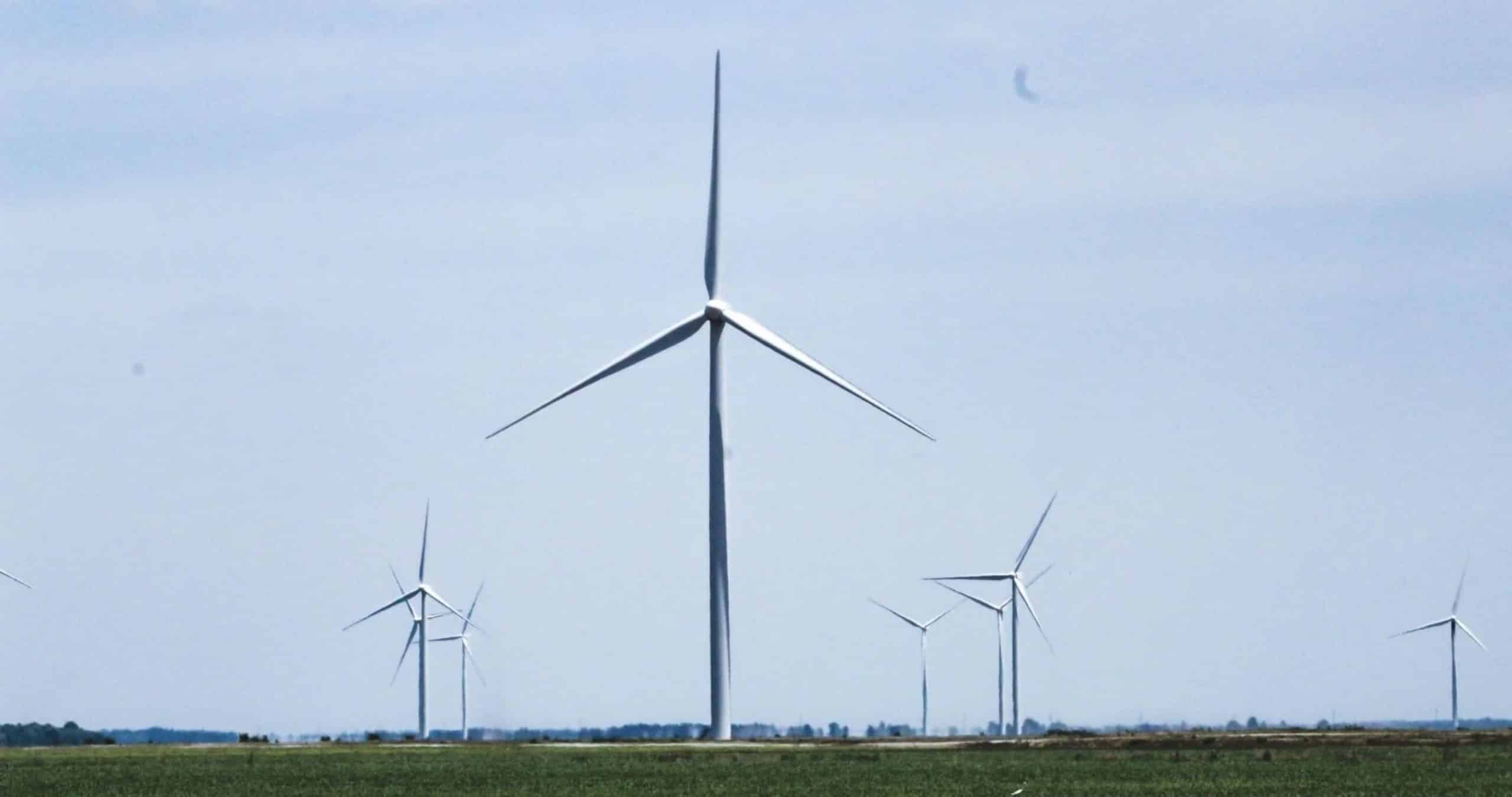 several wind turbines on a farm
