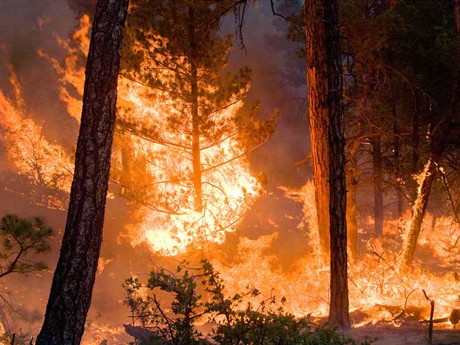 Possibilities of Renewables + Storage Shine in Face of Wildfires - Clean Energy News